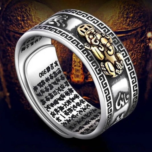 BAGUE RICHESSE & PROTECTION TG